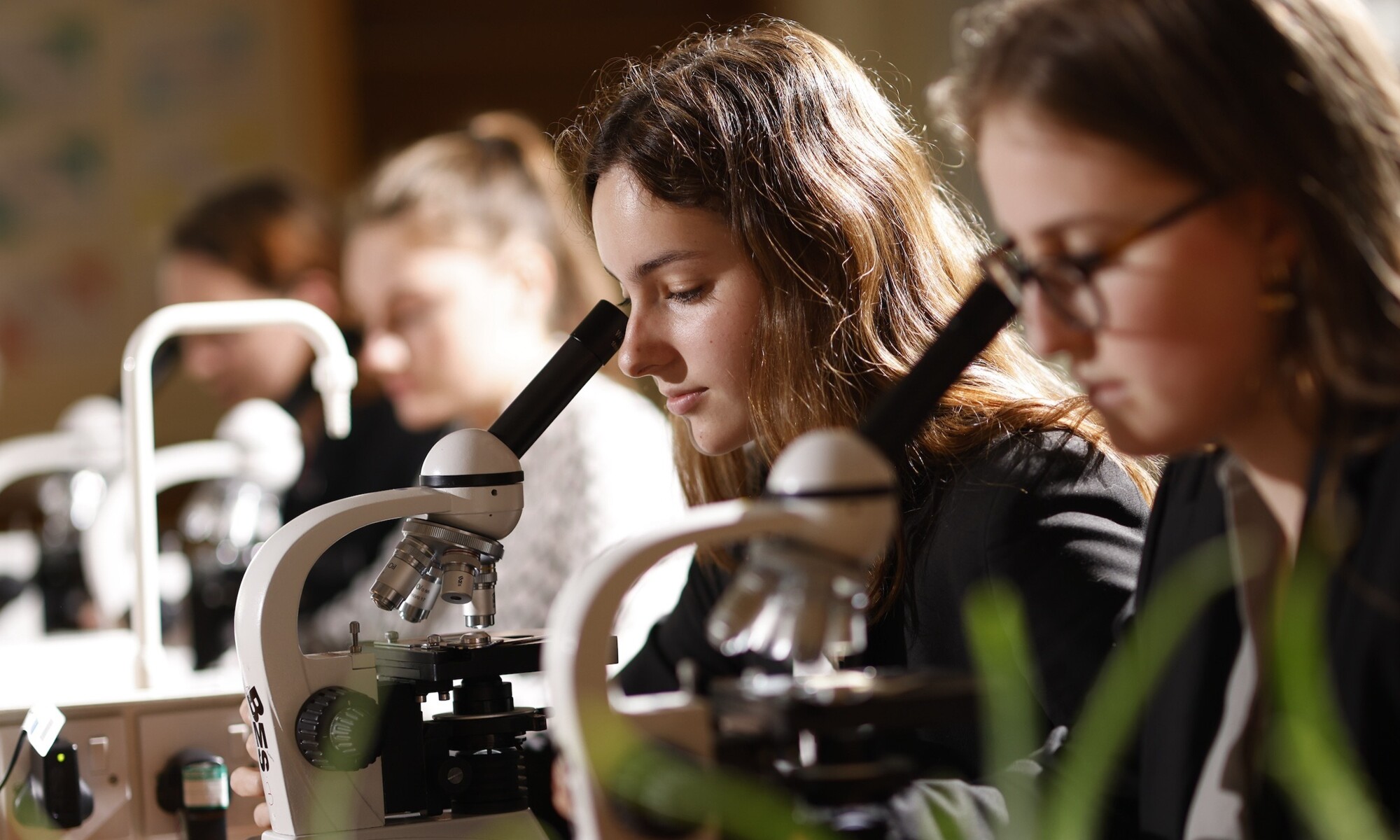 Denmark Road High School - Sixth Form Students using a microscope